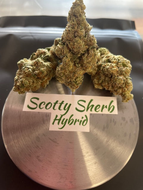 Scotty Sherb