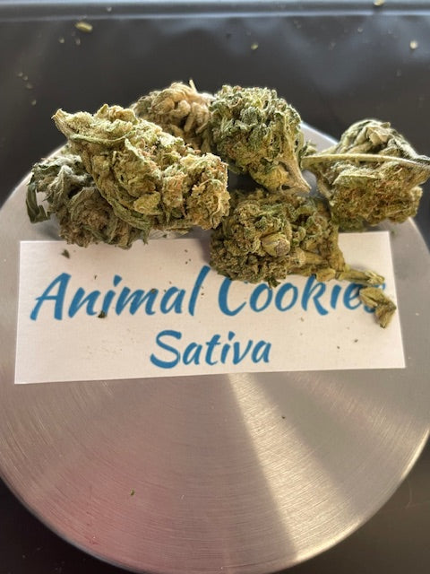 Animal Cookies
