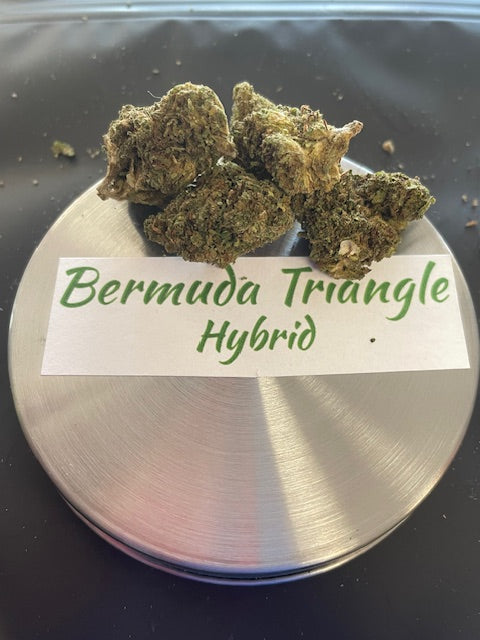 Bermuda Triangle